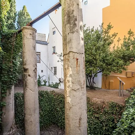 House With 2 Bedrooms In Sevilla, With Enclosed Garden And Wifi - 80 K Lejlighed *